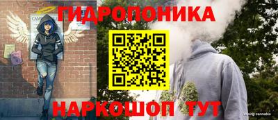 амф Славгород